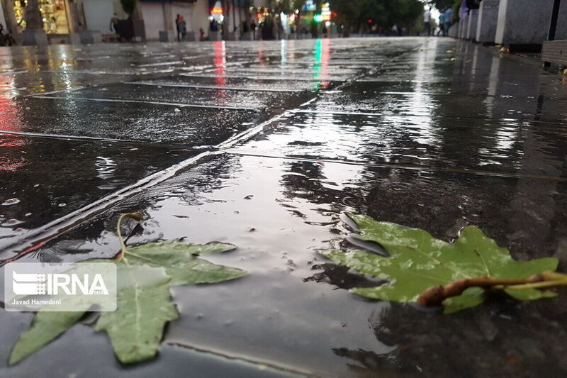 بارش‌ باران در استان بوشهر ۴۸ درصد کاهش یافت