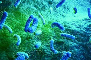 کشف یک گروه جدید از آنتی بیوتیک‌ها