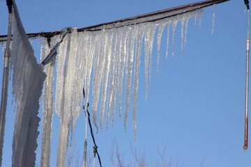 جلوه های زیبای یخ زدگی به دلیل سرمای شدید هوا در بروجرد