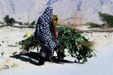 روستاي 'گزدراز' محل زندگي فايز اسطوره دوبيتي سراي جنوب ايران