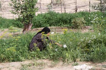 روستاي 'گزدراز' محل زندگي فايز اسطوره دوبيتي سراي جنوب ايران