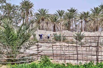 روستاي 'گزدراز' محل زندگي فايز اسطوره دوبيتي سراي جنوب ايران