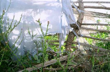 روستاي 'گزدراز' محل زندگي فايز اسطوره دوبيتي سراي جنوب ايران