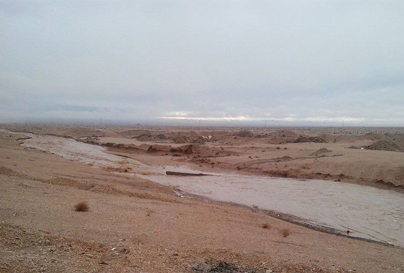 کلشانه طبس رکورد دار بارندگی در سال جاری است