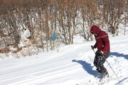 اصفهان ظرفیت ساخت ۳ پیست اسکی دیگر را دارد