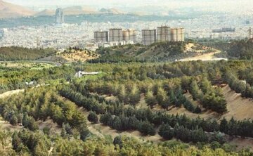 ۵۰ هزار هکتار جنگل‌کاری/ کاشت گونه‌های مثمر و متناسب با اقلیم شهر تهران