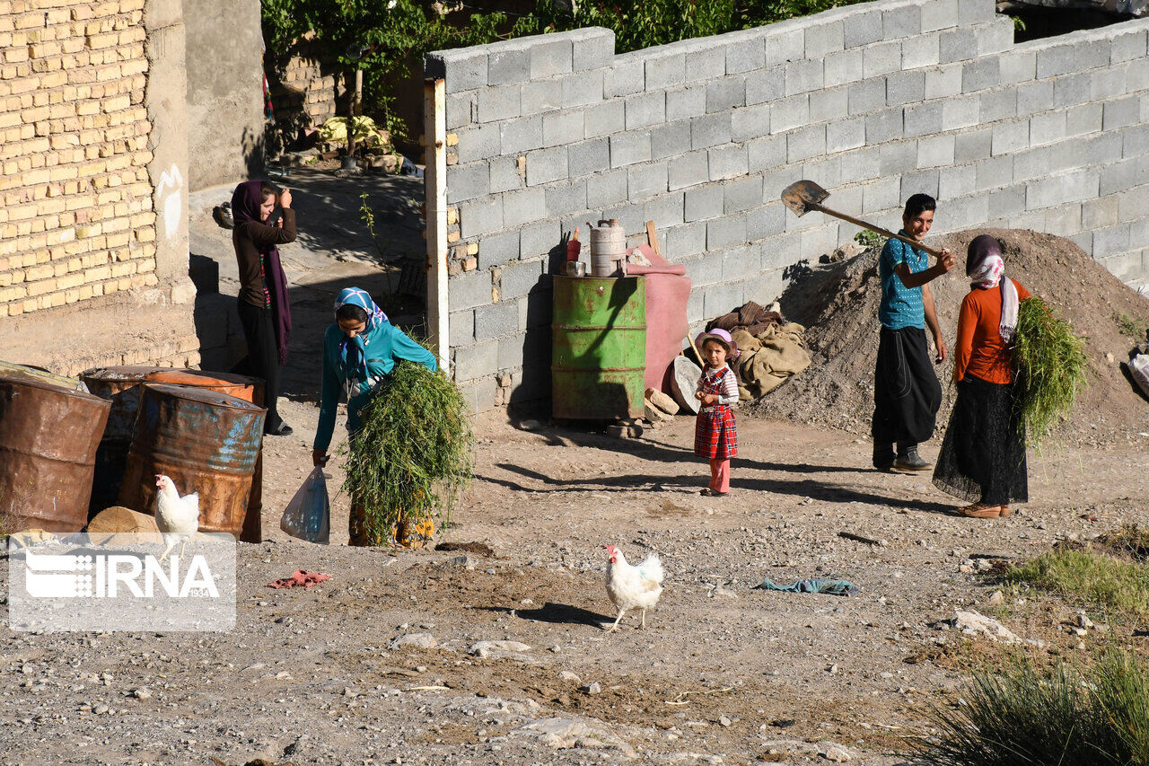 صندوق اعتبارات زنان روستایی در قزوین ۲ هزار عضو دارد