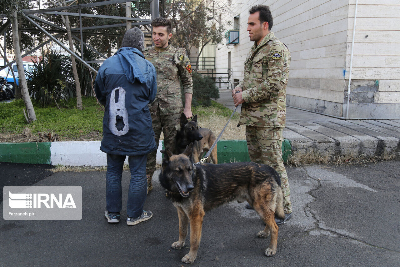 İran, bölgenin Narkotik Dedektör köpekleri eğitim merkezi oldu