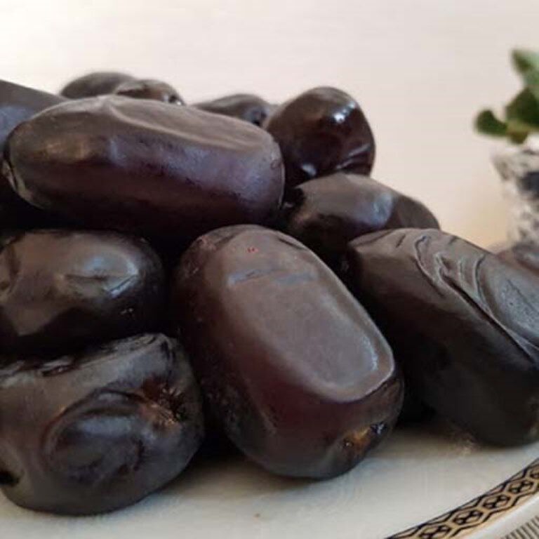نخستین انبار پذیرش رطب مضافتی بم در بورس افتتاح شد