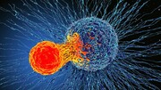 نانوقطرات می‌توانند به یک تومور حمله کنند