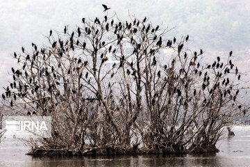 Estil Lagoon; Tourist attraction in Northern Iran