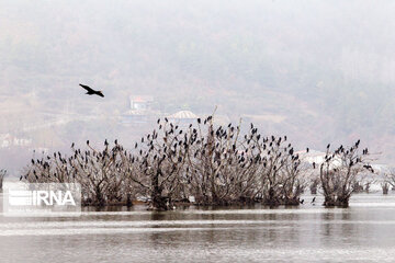 Estil Lagoon; Tourist attraction in Northern Iran