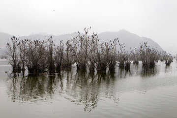 Estil Lagoon; Tourist attraction in Northern Iran