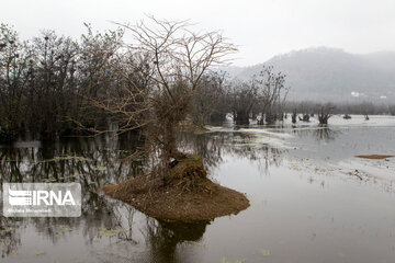 Estil Lagoon; Tourist attraction in Northern Iran