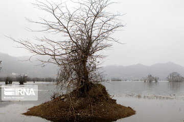 Estil Lagoon; Tourist attraction in Northern Iran