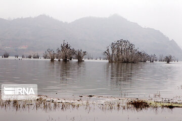 Estil Lagoon; Tourist attraction in Northern Iran