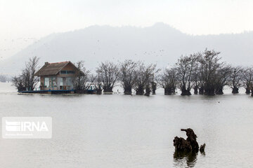 Estil Lagoon; Tourist attraction in Northern Iran