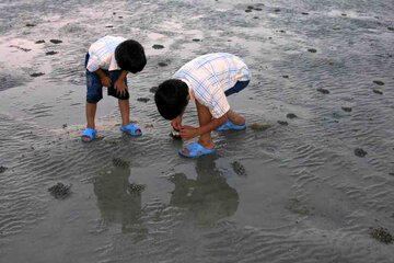 سواحل بوشهر جذاب برای گردشـــگری دریایی