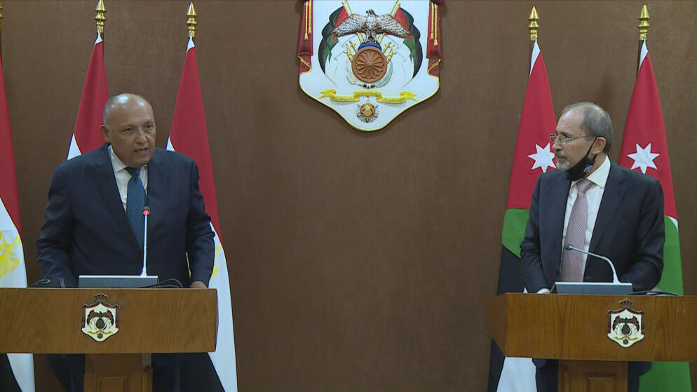 تأکید وزرای خارجه مصر و اردن بر حل مسالمت‌آمیز بحران سوریه