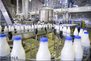 بنیاد مستضعفان سهم ۵۰۰ هزار تنی در تولید شیر کشور دارد