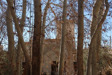 La Maison d’Akhavan Mahriz, manifestation de l'architecture originale iranienne 