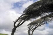 پیش‌بینی وزش باد شدید همراه با گرد و خاک در شرق کشور 