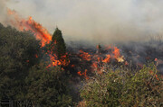 وزش شدید باد، مهار آتش پارک ملی گلستان را سخت کرد
