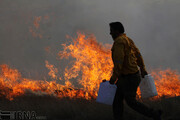 نقشه پهنه‌بندی خطر آتش‌سوزی پارک ملی گلستان تهیه شد 