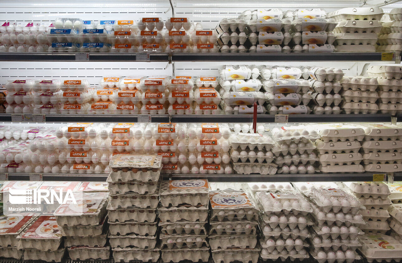 مراکز عمده توزیع تخم مرغ در خراسان جنوبی افزایش می‌یابد
