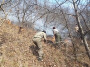 ۲۰ فقره آتش‌سوزی ۲ روز گذشته در جنگل‌های گلستان خاموش شد