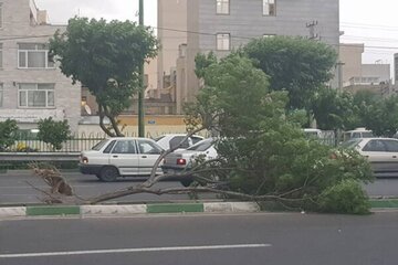 سرعت تندباد در اشنویه به ۱۰۸ کیلومتر بر ساعت رسید