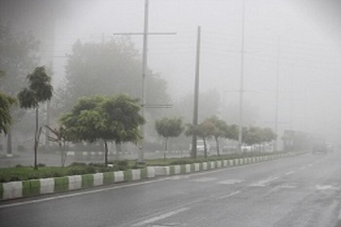 مه صبحگاهی باعث توقف خودروها در جاده بوشهر - برازجان شد