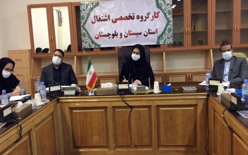 افزون‌بر ۲ میلیون نفر در طرح ملی حمایت از مشاغل خانگی نام‌نویسی کردند