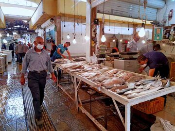 بازار ماهی فروشان بوشهر