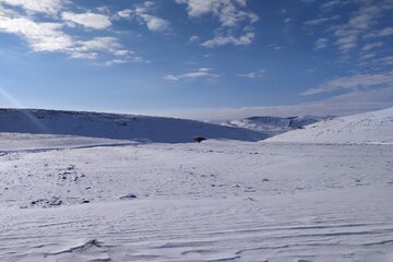 جلوه‌های زیبای نخستین برف زمستانی در طبیعت میاندوآب‌