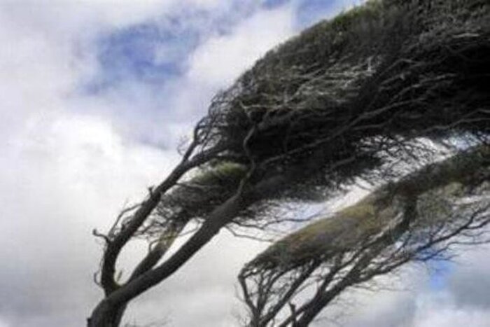 هواشناسی: وزش باد شدید در کرمان پیش‌بینی می‌شود