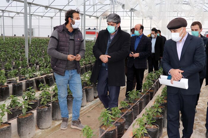 دستگاه قضایی از سرمایه‌گذاران کشاورزی استان اردبیل حمایت می‌کند