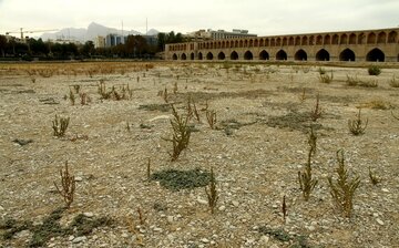 مسئولان مشکلات کشاورزان اصفهان را جدی بگیرند