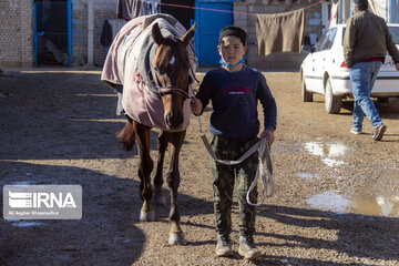 Course de chevaux : session hiver à Gonbad-e Kavous au nord de l’Iran