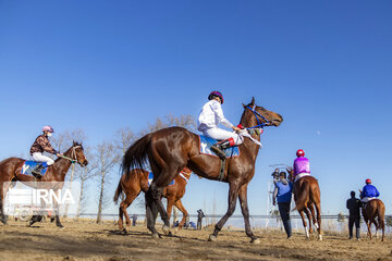 Course de chevaux : session hiver à Gonbad-e Kavous au nord de l’Iran