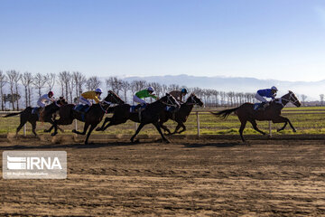 Course de chevaux : session hiver à Gonbad-e Kavous au nord de l’Iran