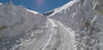 نیم متر برف، تجلی سخاوتِ زمستان فریدونشهر