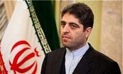 Zarif’s regional tour a milestone for Caucasus peace: Iran envoy