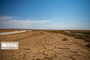 ۹۶ درصد تالاب بین‌المللی گاوخونی خشک شده‌است