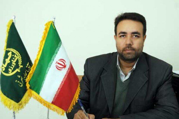طرح جهش تولید در ۲۲ هزار هکتار از دیم‌زارهای هشترود در حال اجراست