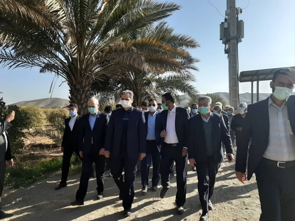 وزیر جهاد کشاورزی از مزارع سرمازده جنوب کرمان بازدید کرد 