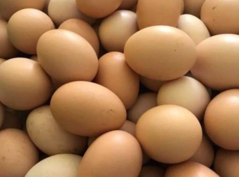 تولید روزانه تخم مرغ در گلستان به ۱۳۰ تن افزایش یافت