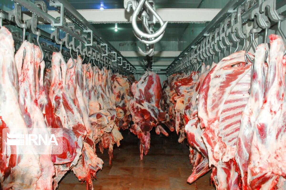۲۳۰ هزار کیلوگرم پودر گوشت از استان مرکزی صادر شد
