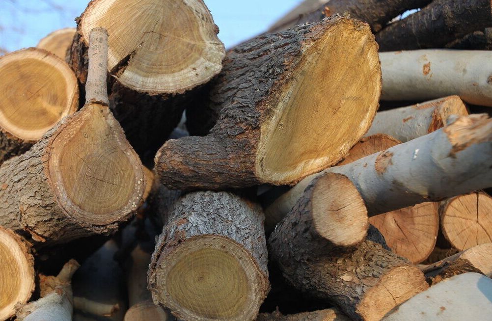  ۶ تن چوب قاچاق در آستانه اشرفیه کشف شد