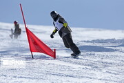 إقامة مسابقات "كأس فجر" للتزلج على الجلید في طهران